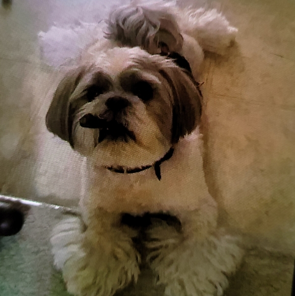 Lots of cute stuff!!😊😊 - Picture 6 of 12